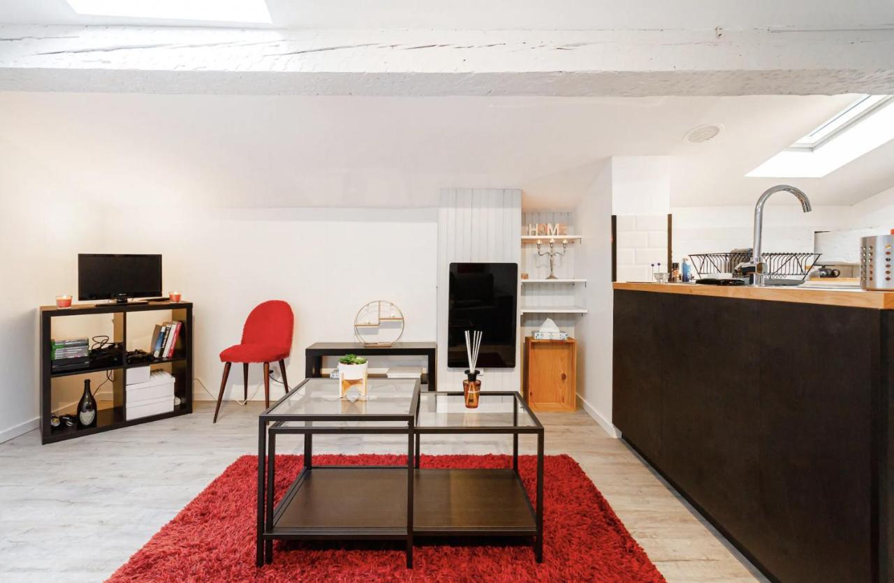 Le Cocon - Chaleureux Studio Centre Ville Au Calme トゥールーズ エクステリア 写真